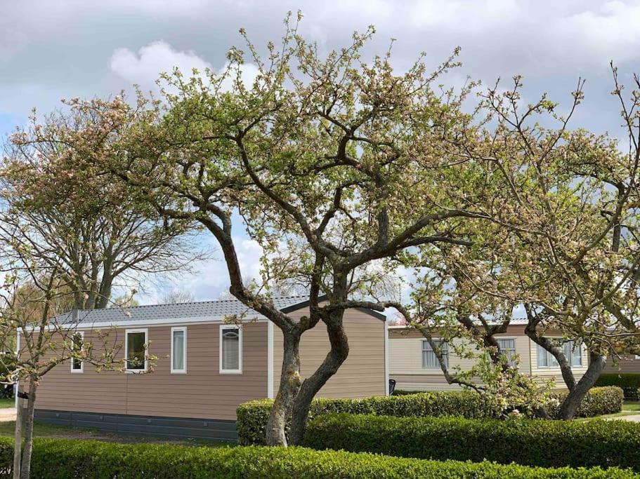Gezellig Chalet In Het Mooie Zeeland - 오스트카펠 외부 사진